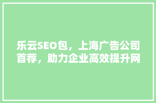 乐云SEO包，上海广告公司首荐，助力企业高效提升网络影响力