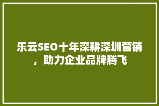乐云SEO十年深耕深圳营销，助力企业品牌腾飞