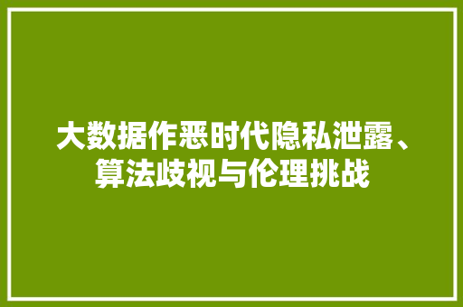 大数据作恶时代隐私泄露、算法歧视与伦理挑战