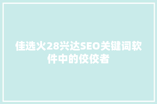 佳选火28兴达SEO关键词软件中的佼佼者