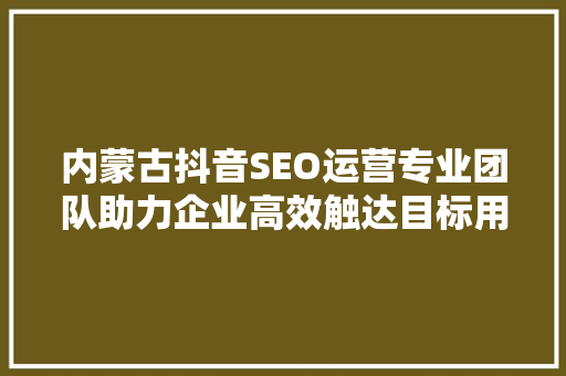 内蒙古抖音SEO运营专业团队助力企业高效触达目标用户