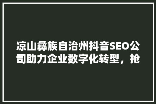 凉山彝族自治州抖音SEO公司助力企业数字化转型，抢占流量高地
