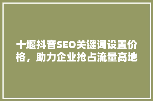 十堰抖音SEO关键词设置价格，助力企业抢占流量高地