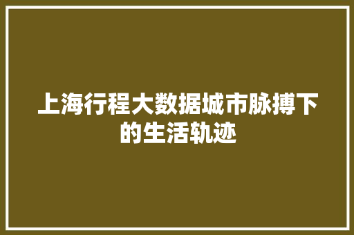上海行程大数据城市脉搏下的生活轨迹