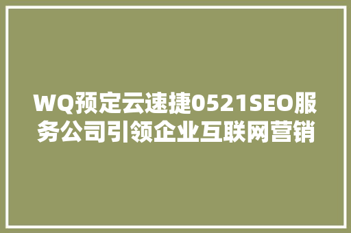 WQ预定云速捷0521SEO服务公司引领企业互联网营销新趋势