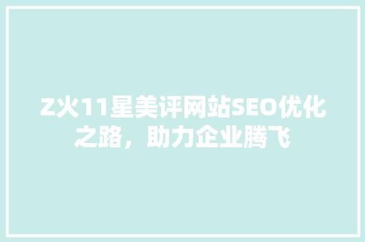 Z火11星美评网站SEO优化之路，助力企业腾飞