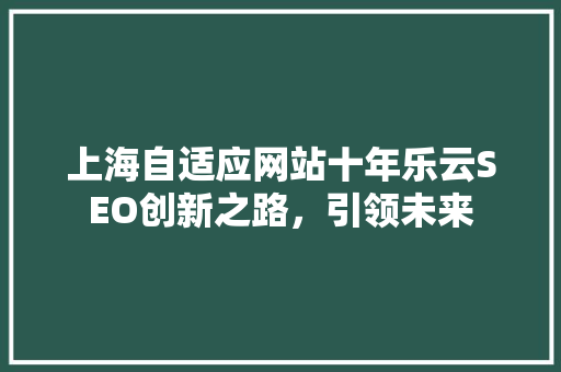 上海自适应网站十年乐云SEO创新之路，引领未来