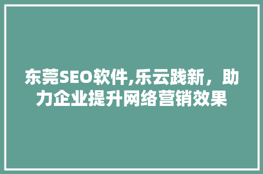 东莞SEO软件,乐云践新，助力企业提升网络营销效果