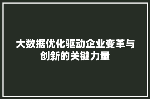 大数据优化驱动企业变革与创新的关键力量