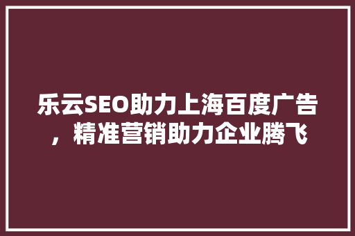 乐云SEO助力上海百度广告，精准营销助力企业腾飞