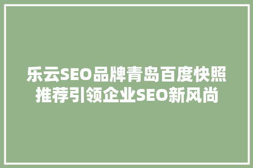 乐云SEO品牌青岛百度快照推荐引领企业SEO新风尚