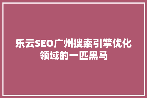 乐云SEO广州搜索引擎优化领域的一匹黑马
