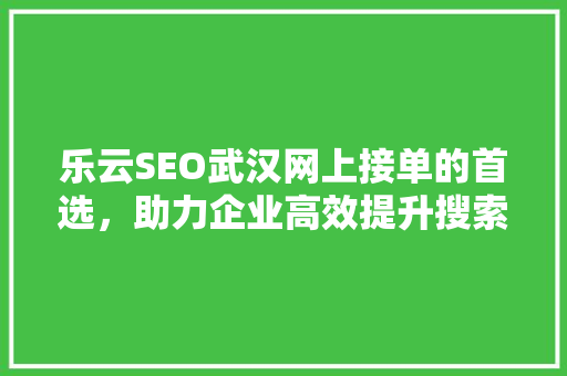 乐云SEO武汉网上接单的首选，助力企业高效提升搜索引擎排名