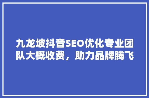 九龙坡抖音SEO优化专业团队大概收费，助力品牌腾飞