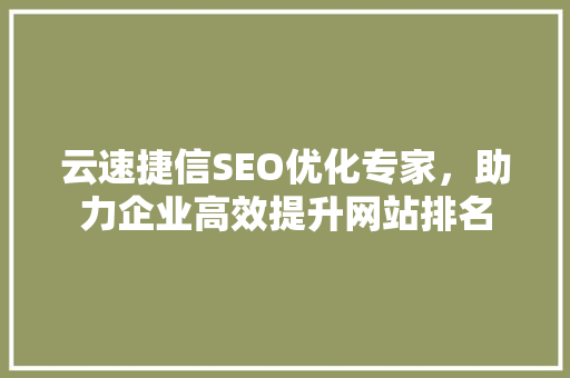 云速捷信SEO优化专家，助力企业高效提升网站排名