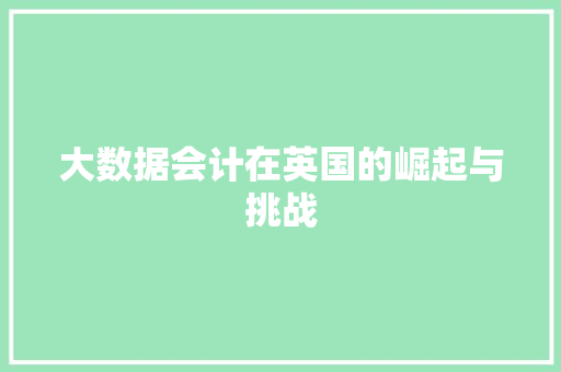 大数据会计在英国的崛起与挑战