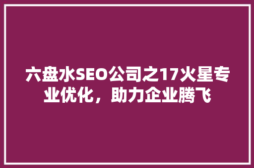 六盘水SEO公司之17火星专业优化，助力企业腾飞
