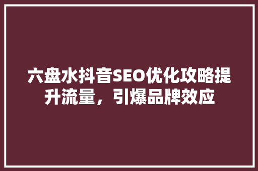 六盘水抖音SEO优化攻略提升流量，引爆品牌效应
