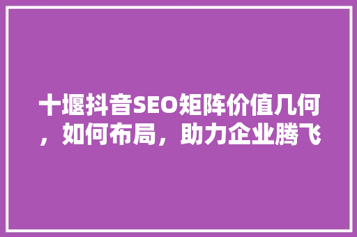 十堰抖音SEO矩阵价值几何，如何布局，助力企业腾飞