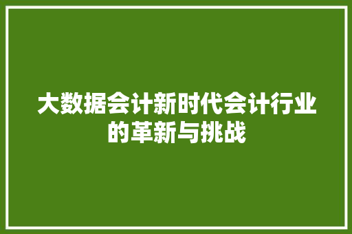 大数据会计新时代会计行业的革新与挑战  第1张