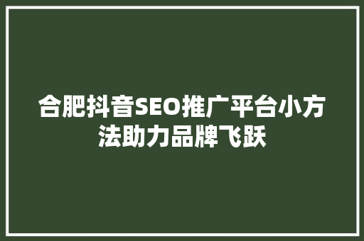 合肥抖音SEO推广平台小方法助力品牌飞跃