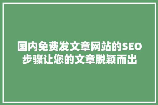 国内免费发文章网站的SEO步骤让您的文章脱颖而出