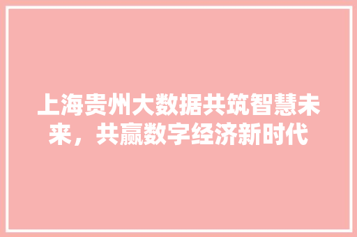 上海贵州大数据共筑智慧未来，共赢数字经济新时代