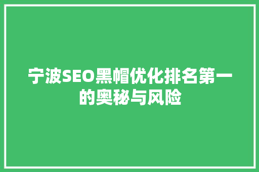 宁波SEO黑帽优化排名第一的奥秘与风险