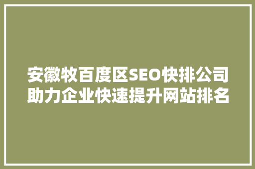 安徽牧百度区SEO快排公司助力企业快速提升网站排名的秘密武器