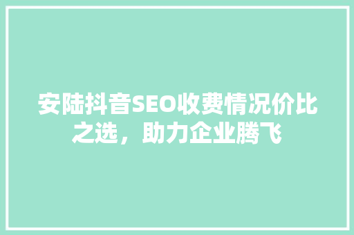 安陆抖音SEO收费情况价比之选，助力企业腾飞