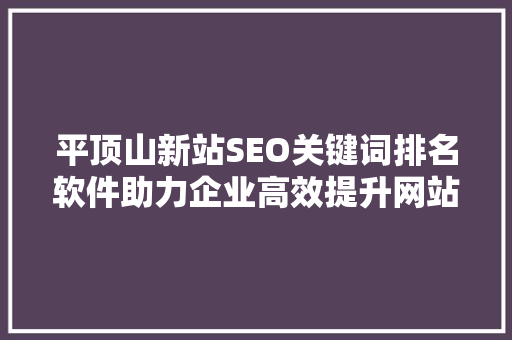 平顶山新站SEO关键词排名软件助力企业高效提升网站流量
