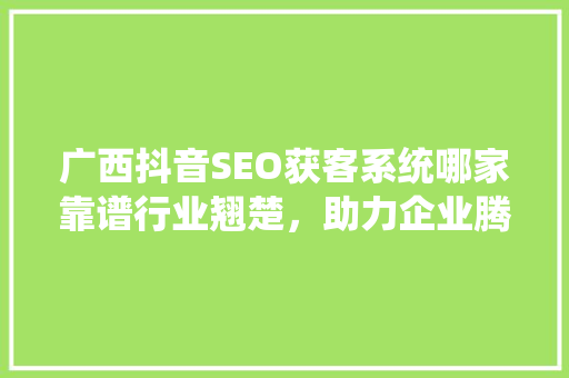 广西抖音SEO获客系统哪家靠谱行业翘楚，助力企业腾飞
