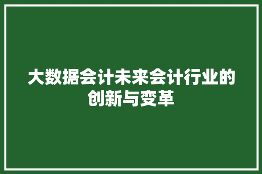 大数据会计未来会计行业的创新与变革  第1张