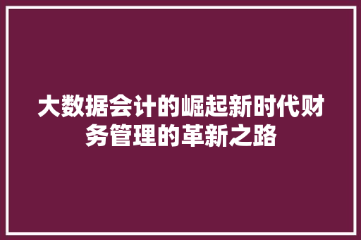 大数据会计的崛起新时代财务管理的革新之路