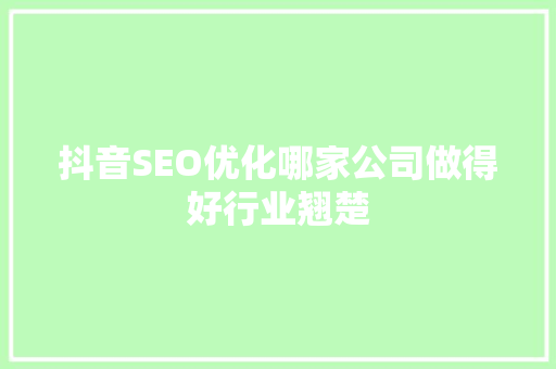 抖音SEO优化哪家公司做得好行业翘楚
