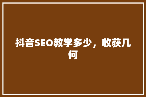 抖音SEO教学多少，收获几何