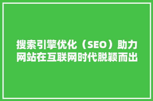 搜索引擎优化（SEO）助力网站在互联网时代脱颖而出