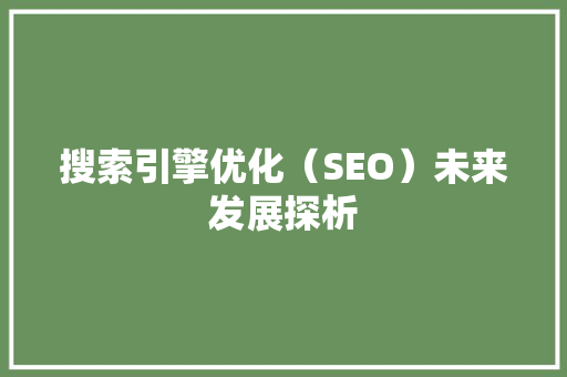 搜索引擎优化（SEO）未来发展探析