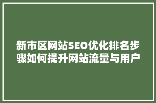 新市区网站SEO优化排名步骤如何提升网站流量与用户粘