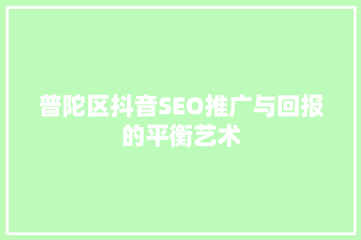 普陀区抖音SEO推广与回报的平衡艺术