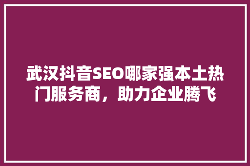 武汉抖音SEO哪家强本土热门服务商，助力企业腾飞