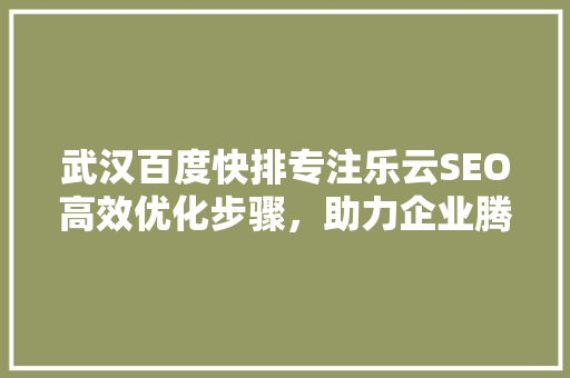 武汉百度快排专注乐云SEO高效优化步骤，助力企业腾飞