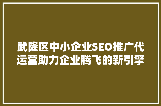 武隆区中小企业SEO推广代运营助力企业腾飞的新引擎