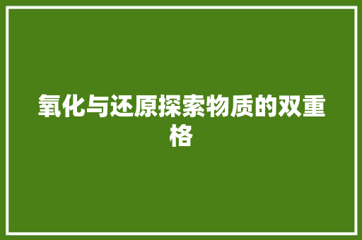氧化与还原探索物质的双重格