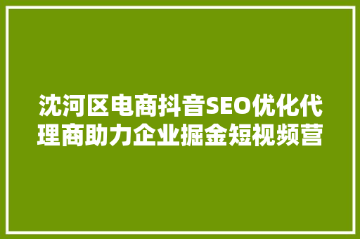 沈河区电商抖音SEO优化代理商助力企业掘金短视频营销蓝海