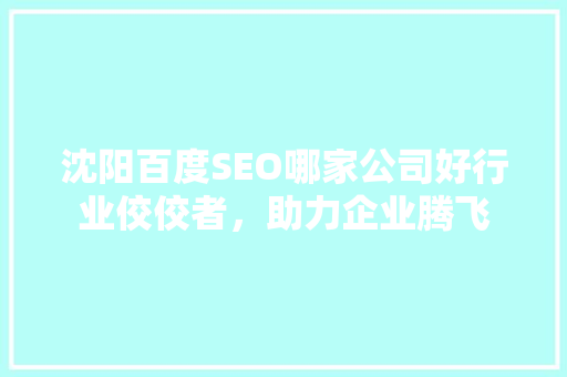 沈阳百度SEO哪家公司好行业佼佼者，助力企业腾飞