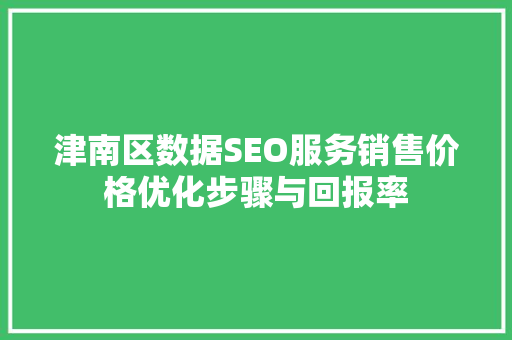 津南区数据SEO服务销售价格优化步骤与回报率