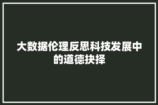 大数据伦理反思科技发展中的道德抉择  第1张