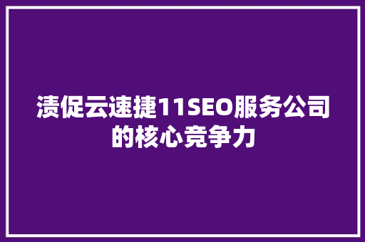渍促云速捷11SEO服务公司的核心竞争力