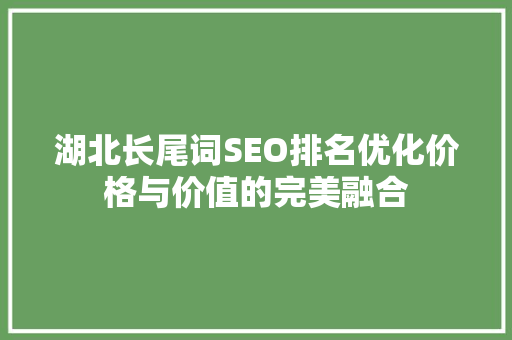 湖北长尾词SEO排名优化价格与价值的完美融合